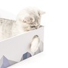Conlun Cat Scratcher Box with Cat Scratching Pad Portable 3-Layer