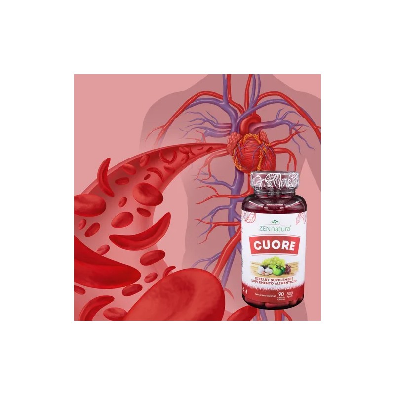 Cuore Circulación Y Presión Arterial Ajo Zapote Blanco Zn Sabor