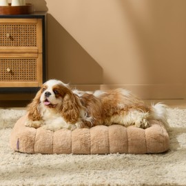 Lesure Cute Orthopedic Dog Bed for Medium Size Dogs, Waterproof Chic Flat Pet Mat with Removable Washable Cover, Fuzzy Thick Egg Crate Foam Pet Mattress for Indoor Use (30" x 20", Beige)