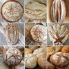 Zomine 22 Pack Hand Crafted Bread Lame with 10 Blades
