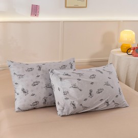 ECOCOTT 2 Pack Pillowcase Queen Size, Dinosaurs Space Pattern Pillow Cases Set, 100% Cotton Pillow Covers with Envelope Closure (Queen, 20"x30")
