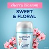 Secret Aluminum Free Deodorant for Women, 48hr Odor Protection, Free