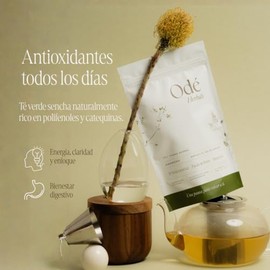 T Verde Sencha Antioxidante. Tisanainfusin herbal natural sin azucar con Zacate Limn y Honeybush - 15 Bolsitas de t formato pirmide                   