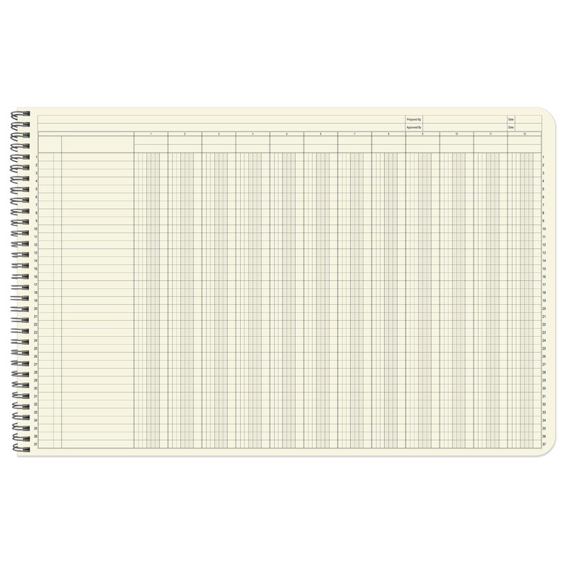 BookFactory Accounting Ledger Notebook/Large 12 Column Accounting Ledger Columnar (Twelve