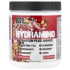 EVLution Nutrition HydrAmino Fruit Punch 246g, 4 Count / EVLution Nutrition HydrAmino 프루트 펀치 246g, 4개