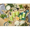 Caldrea Dish Soap, Biodegradable Dishwashing Liquid made with Soap Bark