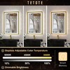 TETOTE Gold LED Mirror for Bathroom 20x28 Metal Frame Frontlit