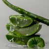 Tone28 Standard Cica Aloe Soothing Gel 300g / 톤28 스탠다드