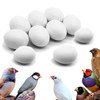 WEZCHUGHAOL 10 Fake Bird Eggs, Pigeons That Have Stopped Laying,