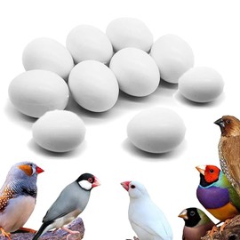 WEZCHUGHAOL 10 Fake Bird Eggs, Pigeons That Have Stopped Laying, Spotted Pigeons, Grey Parrots, and Wren Brother ，Easter Bird Eggs