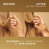 Pantene Molecular Bond Repair Shampoo + Conditioner + Deep Conditioning