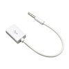 HYROOY 3.5mm Male to USB Female Converter Cable for Car