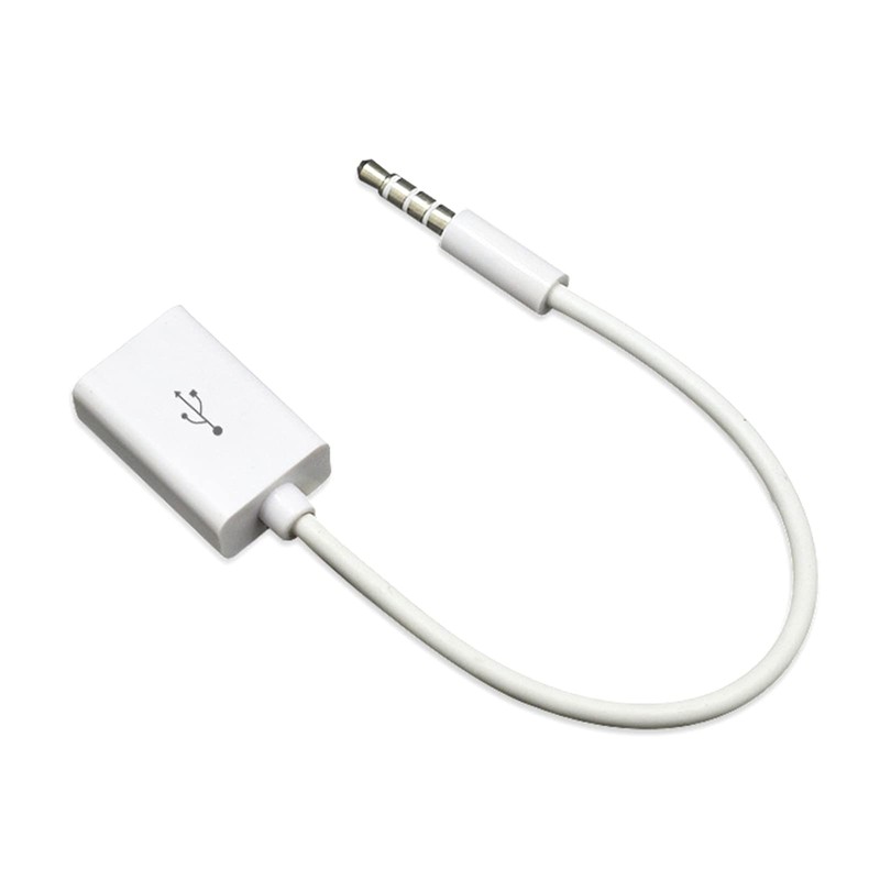 HYROOY 3.5mm Male to USB Female Converter Cable for Car