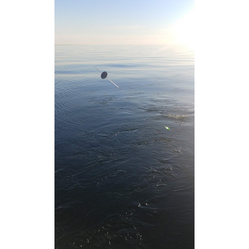 Diver Snubber Twin Pack, Clear