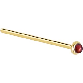Body Candy Solid 14k Yellow Gold 2mm Red Garnet Straight Fishtail Nose Stud Ring 18 Gauge 17mm