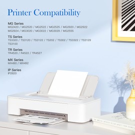 Valuetoner 245XL Ink Cartridge Replacement for Canon 245XL Black Ink PG-245XL 245 XL 243 for PIXMA TR4520 MX492 TS3122 MX490 MG3022 MG2522 MG2920 MG2420 MG2520 MG2922 MG2924 MG3029 Printer (2 Black)