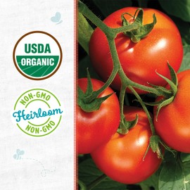 Back to the Roots - 100% Organic Seed Packet - Tomato 'Rutgers' 140mg