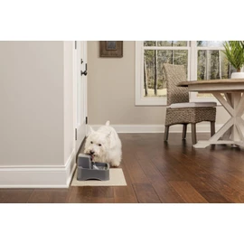 PetSafe PetSafe Ersatz-Schaumfilter f1r Drinkwell Keramik- & Edelstahl-Trinkbrunnen 360, H?lt Trinkwasser sauber f1r Katzen und Hunde, 2-Pack