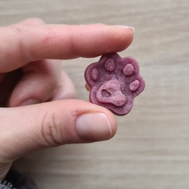 Collory Medium Pfoten (3cm) Silikon Backmatte, Hunde Tatzen, Backform für DIY Hundekekse und Leckerlis, Knochenbackform, Pralinenform, Schokoladenform, Antihaftend und Lebensmittelecht (BPA-Frei)