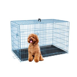 FDW Dog Crate Dog Kennel Cage with Double Door,36 inch Folding Metal Wire Dog Cage with Removable Tray&Divider Panel,Pet Crate for Medium Dogs,Blue