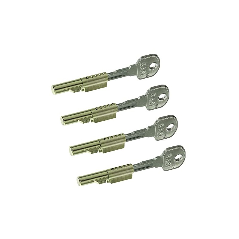 BASI Set of 4 Keyhole Locks for Room Doors BB