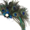 Frcolor 1920 Peacock Feather Hair Clip Gatsby Flapper Peacock Feather