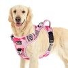 SlowTon No Pull Dog Harness, Heavy Duty No Choke Pet