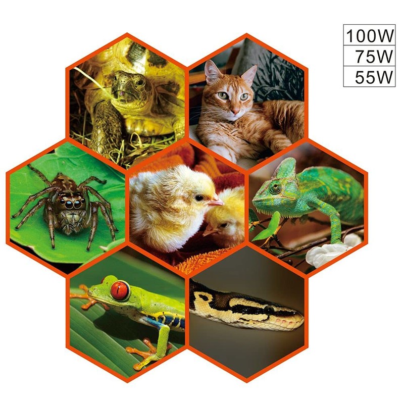 ExoRepti Reptil Heat Lamps