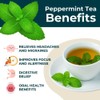 Teapro Premium Peppermint Tea 100g | Pure Caffeine-Free Peppermint Loose