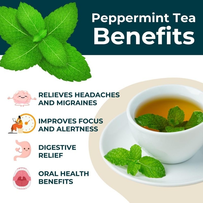 Teapro Premium Peppermint Tea 100g | Pure Caffeine-Free Peppermint Loose