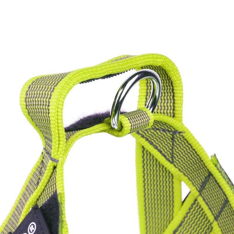 Julius-K9 Colour & Grey Webbing Harness