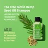 HEMPZ Tea Tree & Chamomile Herbal Hair Shampoo - Gentle