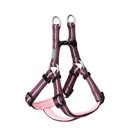 Terrain D.O.G. Reflective Neoprene Lined Dog Harness
