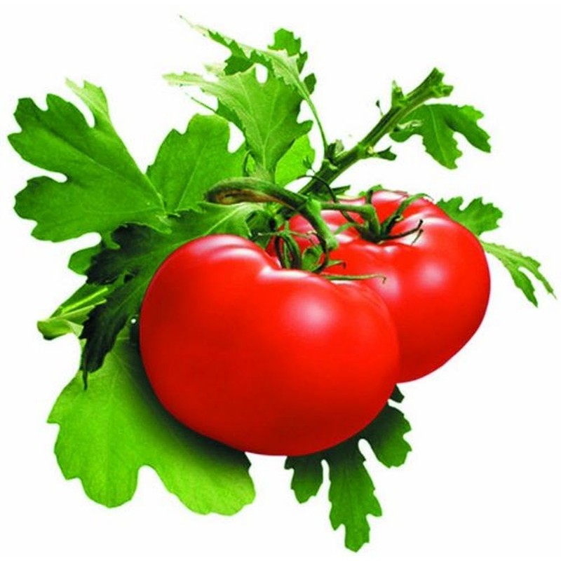 Lacor-60351-SERRATED TOMATO PEELER