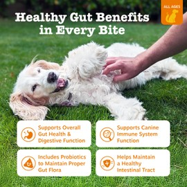Zesty Paws Probiotics for Dogs - Digestive Enzymes for Gut Flora, Digestive Health, Diarrhea & Bowel Support - Clinically Studied DE111 - Dog Supplement Soft Chew for Pet Immune System - Pumpkin, 90ct