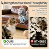 Cat Wrestling Glove, Interactive Hand Mitt Toy with Interchangeable Feather
