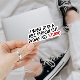 (3Pcs) I Want to Be A Nice Person But People are Stupid Stickers, Sarcastic Vinyl Die Cut Decal, Waterproof Vinyl for Laptop Water Bottle Phone Hard Hat 3"x3"