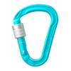EDELRID HMS Strike Locking Carabiner - Icemint Screwgate
