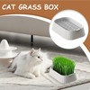 Cat Grass Pot - Organic Cat Grass Planter Tray,Double Layer