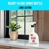 BUGGSLAYER Insecticide RTU Indoor Insect Killer - Kills Spiders, Ants,