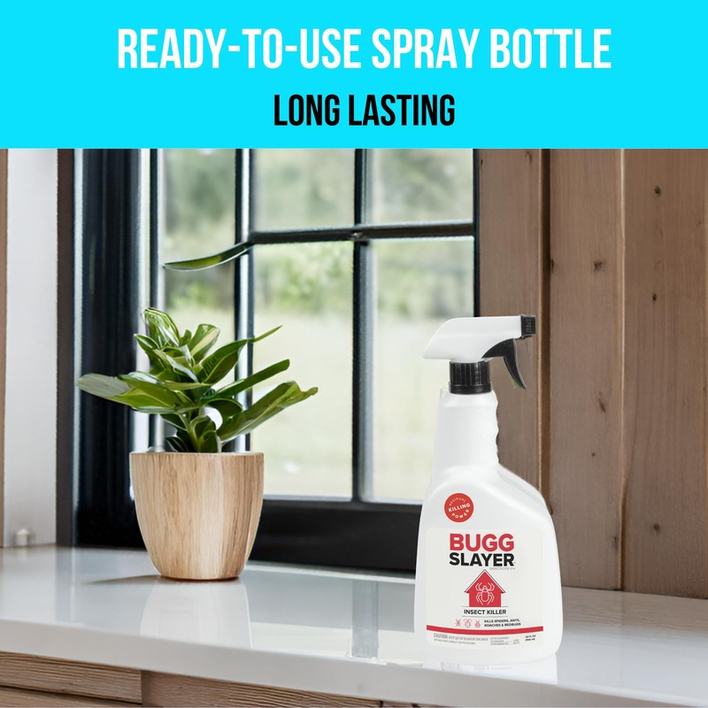 BUGGSLAYER Insecticide RTU Indoor Insect Killer - Kills Spiders, Ants,
