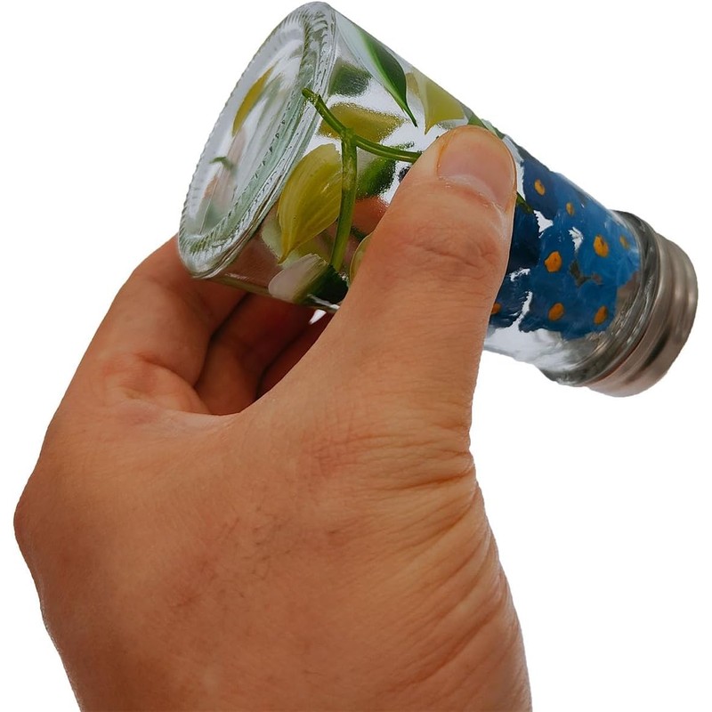 Ritadeshop Hand Painted Salt and Pepper Shaker Set with S