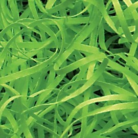 Green Shredded Paper Very Fine Cut Shred Tissue Paper Hamper Fill 100g