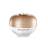 Missha Chogongjin Seolbon Jin Dark Spot Cream 60ml / 미샤 초공진 설본 진 기미 크림 60ml
