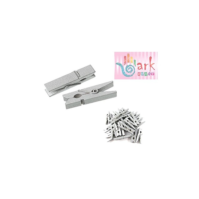 100 Mini Wooden pegs (Silver)