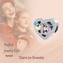 Annmors Abalorio de plata de ley 925,15,16,18,21,30,40,50,60 años,para pulsera europea,con números con circonita cúbica 5A,regalo de cumpleaños para mujeres,Plata,Circonita cúbica plateado