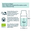 Essences Bulgaria Organic Myrrh Essential Oil 10ml | Commiphora myrrha