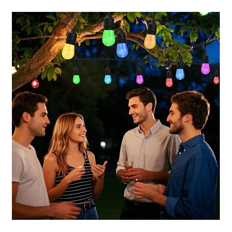 Westinghouse 24 Bulb Color Changing String Light 48 Foot