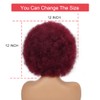 Afro Wigs for Black Women 70's Burgundy Afro Wig for