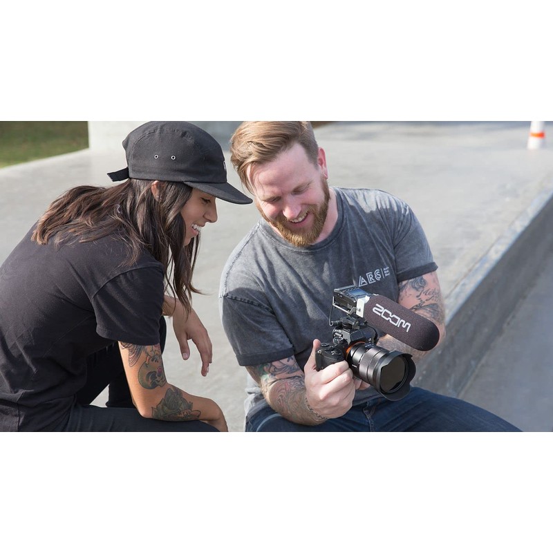 Zoom SMF-1 Shockproof Mount for F1